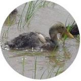 ���������Ǥ��� 