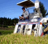 �֤椭�������������֤��פϿ��Ƥ�ȯ�����Ƥ��ޤ��� 