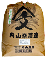 25?ʻˤϡ礭ʻޤǤϤޤ