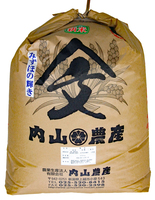 25?ʻˤϡ礭ʻޤǤϤޤ