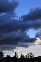 �����ܶᤫ�� 