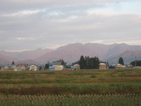 �������դ��Ƥ��ޤ��� 