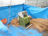 ���Ƥ�æ��Ǥ��� 