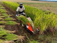 �Х�������Ǵ�����