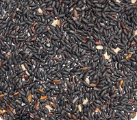 ��̤߳Ⱦ��Ф�������������ι���