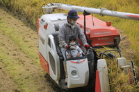 ¹̼Ȱˡ̽ƣӣСפ𴢤