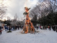 �����ο� 