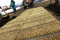 �ĽФ����ͻ� 