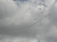 ��Ļ���̤ص���ޤ��� 