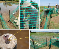 ����ǥӥ塼�ν��� 