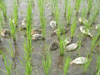 �������⡢�������ư�桪 