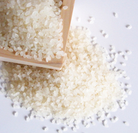 ���λ����Ǥ���̣���������������ҥΥҥ��� 