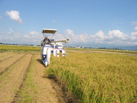 �ҤȤ�ܤ�𴢤� 