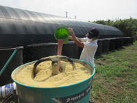 �����������������䥳�饵�� 