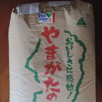 ͭ������100%�����̺��ݤҤȤ�ܤ� 