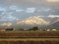 �����㤬�ߤ�ޤ����� 