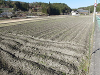 �����ܤν������� 