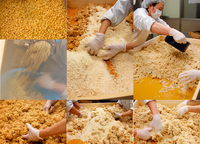 ̣���δ��Ź��� 