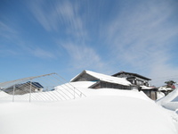 ŷ���������� 