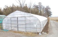 �ϥ����ӥˡ���ĥ�괰λ 