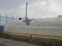 �ϥ����ӥˡ����ˤ��� 