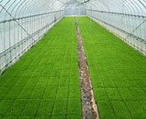 �⤦�����Ĥ�ܤ�ιΩ���ޤ� 