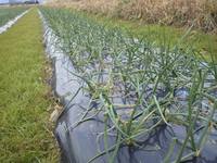 �̥ͥ��������˰�äƤ��ޤ��� 