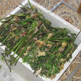 ����ޥ��򻳤ۤɤ��������� 