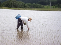 ���λ����ǲ������⤭³����Τǹ����Х��Х���­�ϥ��������ˡ� 