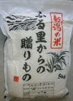 ���������ˤĤ��� 