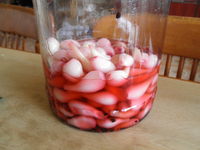 ��å��祦�δſ��Ҥ��˹��Ƥ�����Ƥߤޤ������ȤƤ⤭�줤�����ޤ�ޤ��� 