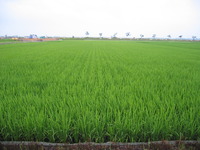 �Ŀ�����2����Ф��ޤ����� 