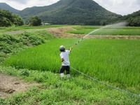 ��̣�Τ���ʤ�С� 