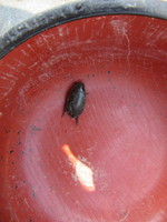 ����ť������ʤ��ʤ���ޤ����ޤ��� 