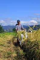 �Ϥ����� 