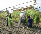 �Ҷ��Ȱ��˻Ż��򤷤Ƥ��ޤ��� 