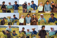 �⻳�ȣ����ȡ���Ĺ�⻳���ס���ҡ����� 