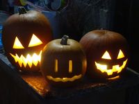 ��ǯ�Υ��ܥ��㤿�� 