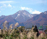 ̯�⻳�鴧��ֹ��ա� 