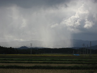 �����ߤäƤ��� 