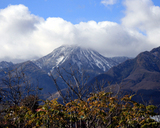 ̯�⻳�鴧�� 