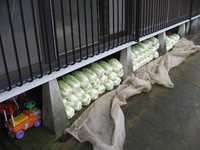 �ߤ˿��٤���� 