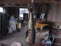 ����κ���ĺ���ޤ����� 