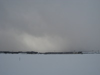 �����ζ��������� 