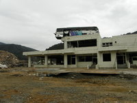 ήɺ夷ѸХ󳬤ηʪβ 