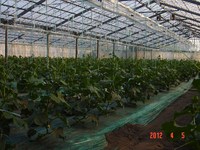 �꿢���ƣ���������奦�� 