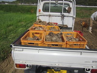 �礭����Τϣ�������̤���ޤ��� 