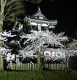 ���ܻ������ 