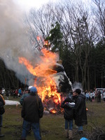 �����ο� 