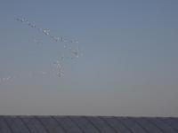 �̤ص�����Ļ���� 